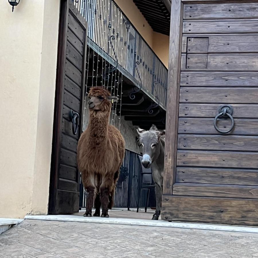 Borgo Incantato Spoleto Pompagnano 외부 사진
